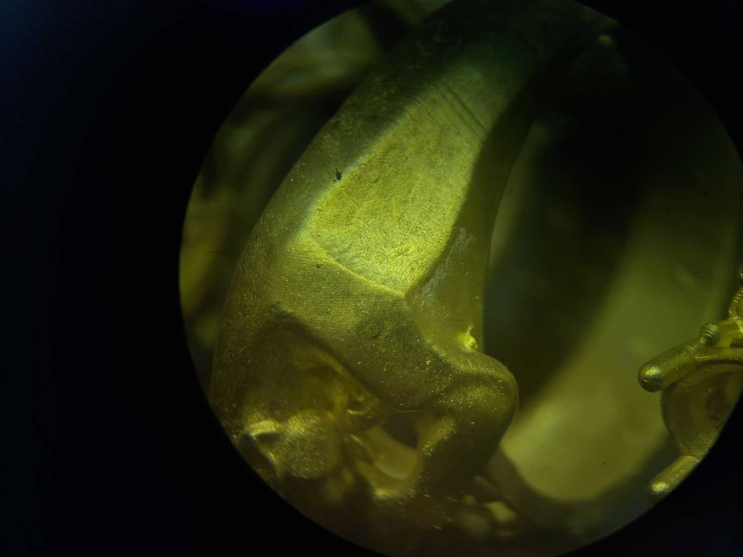 Lime: отлитая модель, фото 4